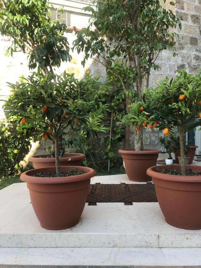 Il Cavaliere Bed And Breakfast Caserta Exterior foto